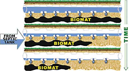 biomat-failing-system